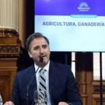 Al igual que Adorni, Joaquín Benegas Lynch ingresó al régimen simplificado de la Ley de Inocencia Fiscal