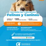 Jornada de Castración para felinos y caninos